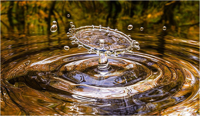BWT Wasserfilter & Zubehör